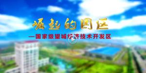 保衛母親河——望城新聞天卓公司專題報道